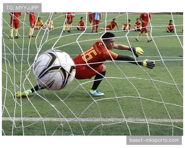 场上观众干扰如何影响足球比赛判罚与规则执行? 场上观众干扰如何影响足球比赛判罚与规则执行?